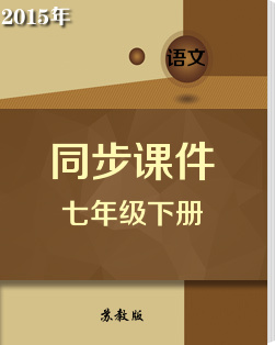初中语文苏教版七年级下册同步课件