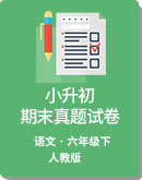 2019湖南省各县市小升初语文试卷  人教版（新课程标准）