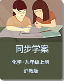 沪教版（上海）化学 九年级第一学期 专题讲义