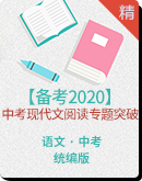 【备考2020】中考语文现代文阅读专题突破学案