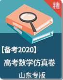  【备考2020】高考数学仿真模拟试卷（山东专版）