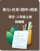 初中语文 人教统编版（部编版）八年级上册 全册各单元+月考+期中+期末达标检测卷（含答案）