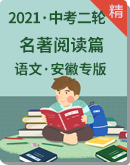 【备战2021】中考语文二轮专项复习 名著阅读篇 试卷（安徽专版）