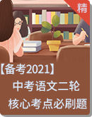 【备考2021】中考语文二轮复习 核心考点必刷题