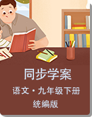 初中语文统编版九年级下册同步学案