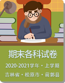 吉林省松原市前郭县2020-2021学年第一学期八年级期末试卷