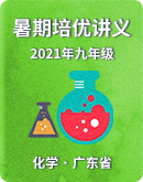 【广东省】2021年九年级化学 培训机构暑期培优讲义（学生版+教师版）