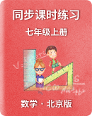 【北京版】数学七年级上册 同步课时练习