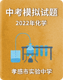 【湖北省孝感市实验中学】2022年中考化学模拟试题（图片版含答案）