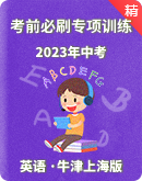 2023年中考英语考前必刷专项训练 牛津上海（试用本）（含答案解析）