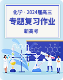2024届高三新高考化学大一轮专题复习课时作业（含解析）