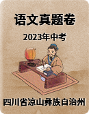 2023年四川省凉山彝族自治州中考语文真题（含解析）