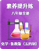 化学鲁教版（五四制）八年级全册同步+单元素养提升练（含解析）
