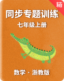 初中数学浙教版七年级上册 同步专题训练