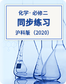 2023-2024学年下学期高一化学沪科版（2020）必修第二册同步练习（含答案）