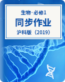 2023-2024学年高中生物学沪科版（2019）必修1同步作业