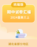2024届湖北省部分地区高三上学期11月语文期中试卷分类汇编（含解析）