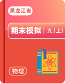 【黑龙江省】2023-2024学年物理九年级第一学期 期末模拟试题（含解析）