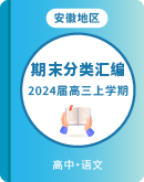 【安徽省地区】2024届语文高三上学期 期末试卷分类汇编（含答案）