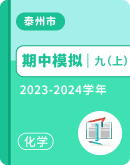江苏省泰州市2023-2024学年九年级上学期期中化学模拟试卷（无答案）