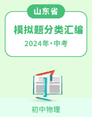 【山东省】2024年中考物理模拟题分类汇编（含解析）