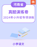【河南专用】2023-2024学年小升初语文备考 专项真题演练（含答案）