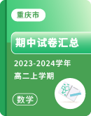 【重庆市】2023-2024学年高二上学期数学期中试卷汇总