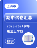 【上海市】​2023-2024学年高三上学期数学期中试卷汇总