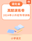 【湖北专用】2024年小升初语文备考 专项真题演练 （含答案）