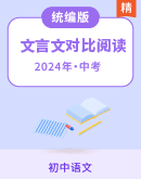 2024年中考语文专题复习 文言文对比阅读（含答案）