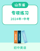 【山东省】2024年中考英语专项练习 （含解析）