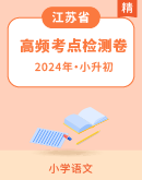 【江苏省】2024年统编版语文小升初 高频考点检测卷（含答案）