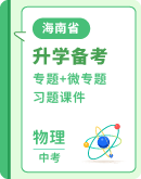 【海南省】2024中考物理二轮重点专题研究 专题+微专题习题课件