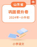 【山东省】2024年统编版语文小升初巩固提升卷（含答案）