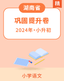 【湖南省】2024年统编版语文小升初巩固提升卷（含答案）
