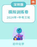 【深圳版】2024年中考化学三模冲刺训练试卷