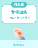 【河北专用】2024年小升初语文专项训练（有解析）