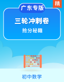 【抢分秘籍】冲刺2025中考数学三轮专题训练（广东专版）