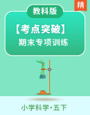 【考点突破】教科版科学五年级下册期末专项训练