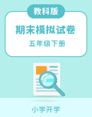 2023-2024学年教科版五年级下册科学期末模拟试题 （含答案）