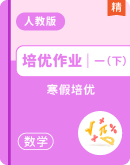 【一课一练】统编版三年级下册语文（含答案）