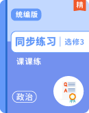  【课课练】高中思想政治选择性必修3 逻辑与思维
