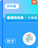 【暑假抢先练】苏科版2025年新七年级数学暑假衔接讲义