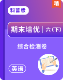 【期末培优卷】2024-2025学年科普版英语六年级下册期末培优卷（含答案解析）