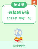 【备战2025】中考历史选择题专练
