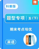 【期末考点培优】2024-2025学年科普版五年级英语下册期末专项复习（含答案解析）