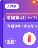 【阶段复习】2024-2025年人教版（2024）七年级下册生物期末专题训练