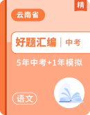 【好题汇编】5年中考（2021-2025）1年模拟语文真题分类汇编（云南专版）