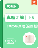 2025年全国中考语文真题分类汇编卷