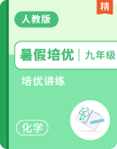 【暑假培优】2025年新初三化学暑假优学讲练（人教2024版）